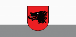 Balvu pilsētas karogs