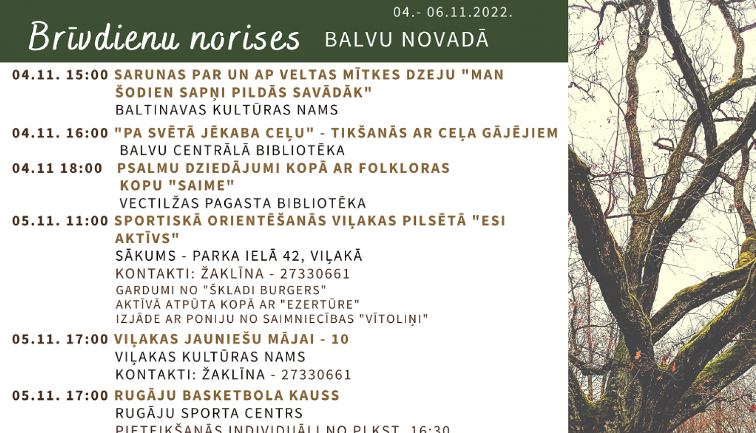 Brīvdienu norises Balvu novadā (04. - 06.11.2022.)