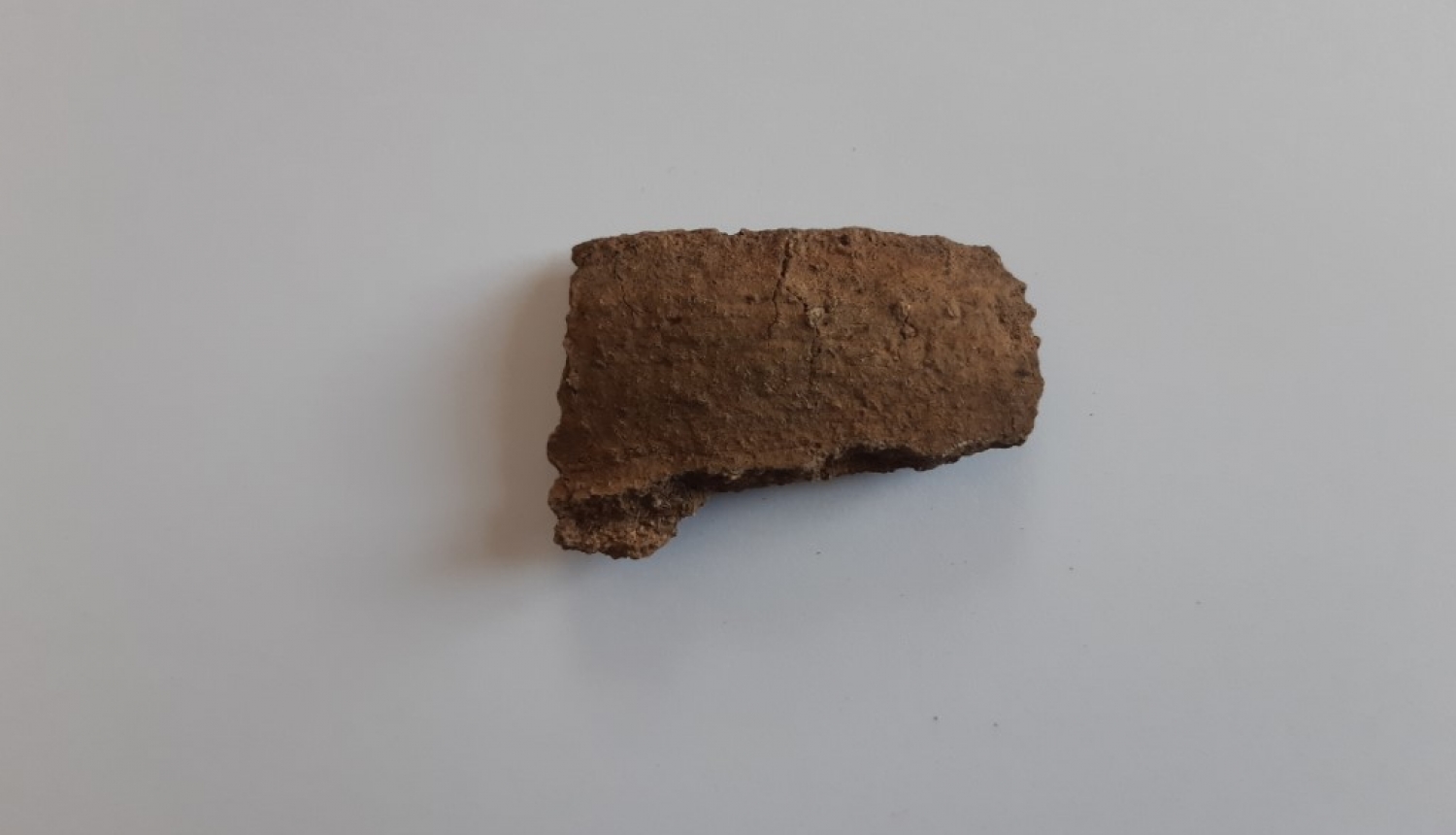 Viļakas muzejā lekcija “Loginu senkapu 2019.gada izpētes rezultāti”